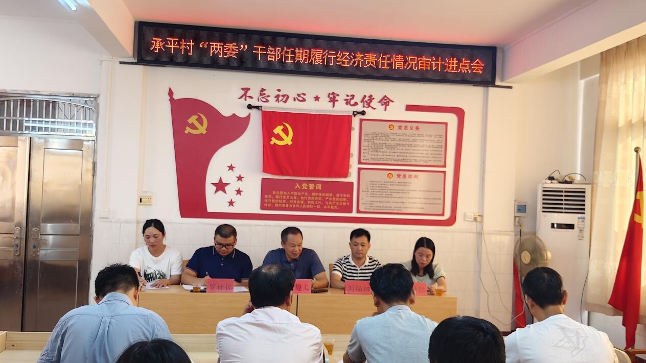 網(wǎng)站報(bào)道稿：以“真抓實(shí)干”的工作作風(fēng)推動(dòng)鎮(zhèn)級(jí)審計(jì)業(yè)務(wù)開(kāi)展_2