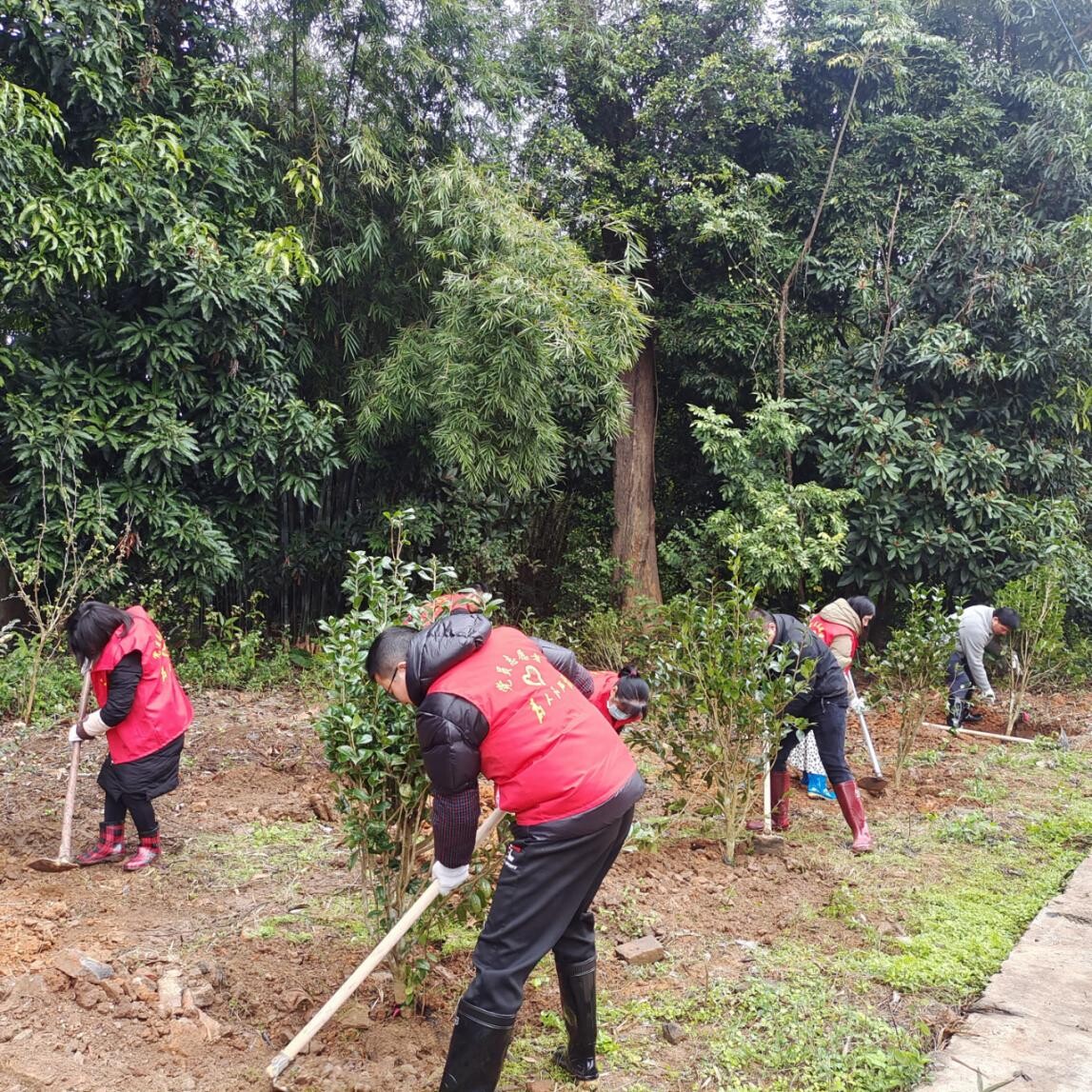 黨建引領齊發(fā)力，攜手同心添新綠.wps_2