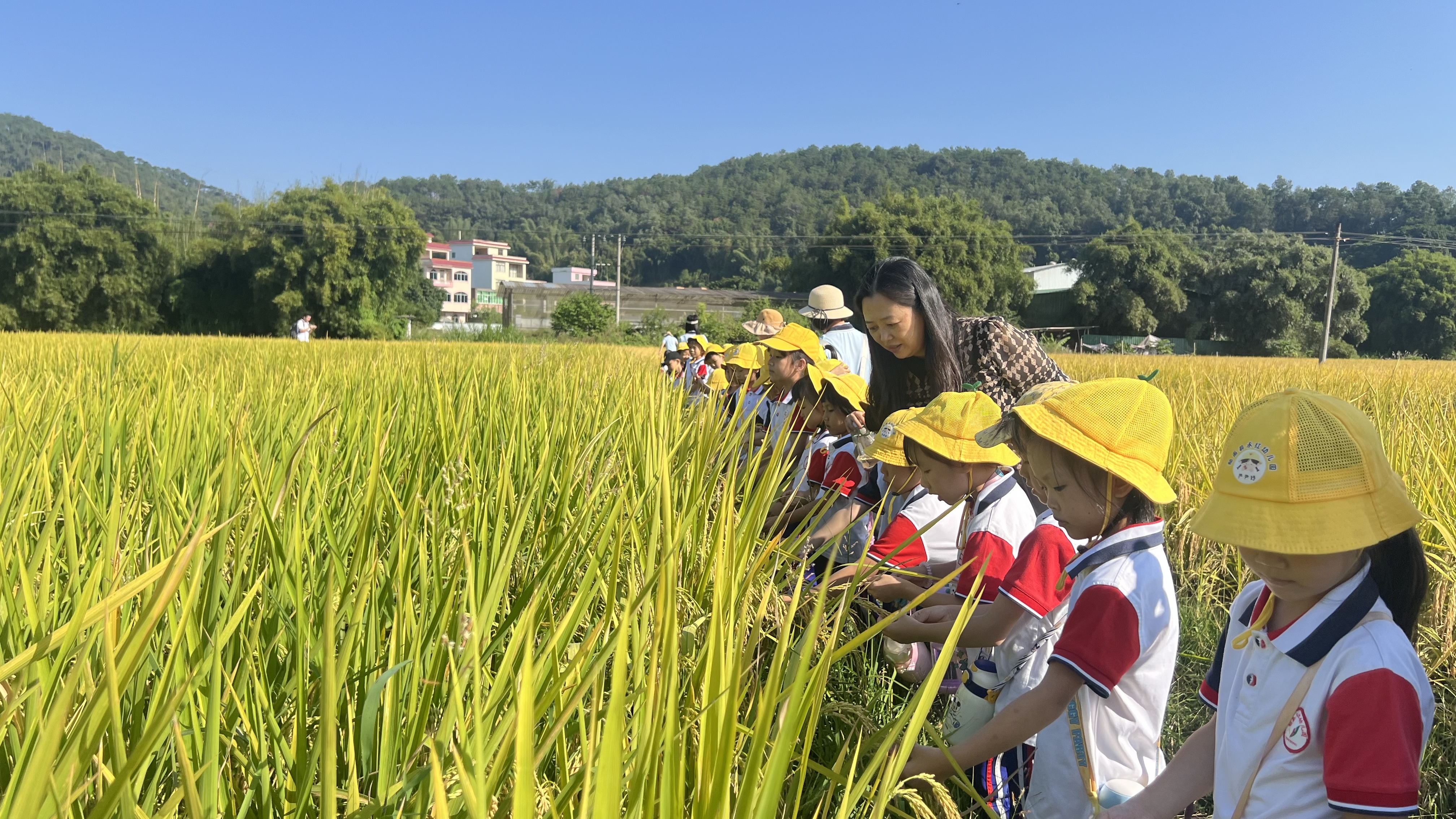 郁南縣永紅幼兒園開展2024年走進(jìn)農(nóng)村生活體驗(yàn)活動1.jpg