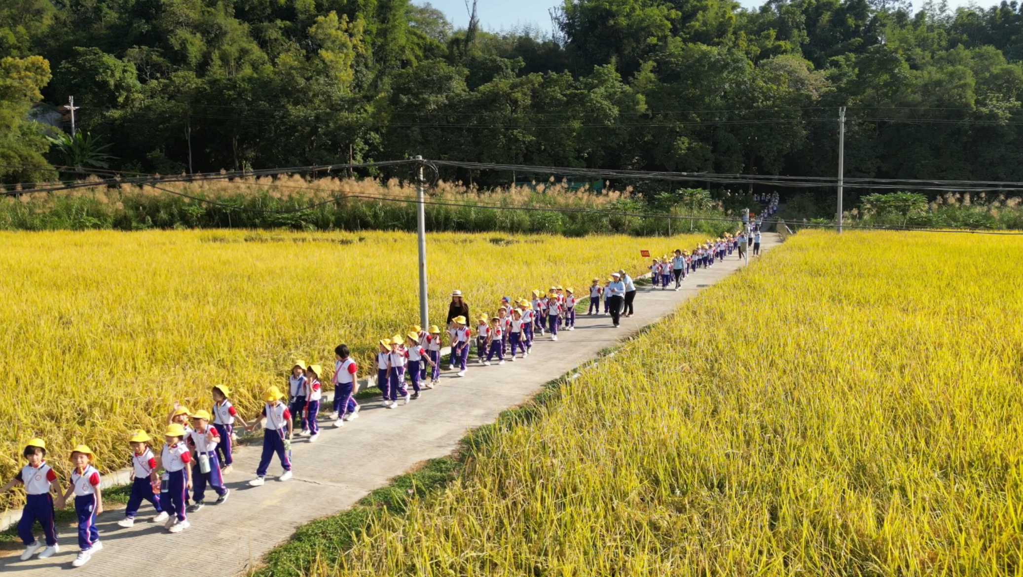 郁南縣永紅幼兒園開展2024年走進(jìn)農(nóng)村生活體驗(yàn)活動2.jpg